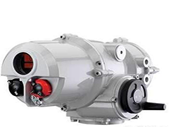 ROTORK IQT